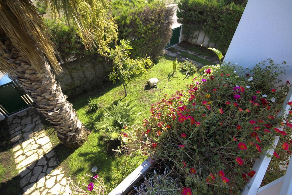 B&B Villa Genny A Pochi Passi Dal Mare San Cataldo  Habitación foto